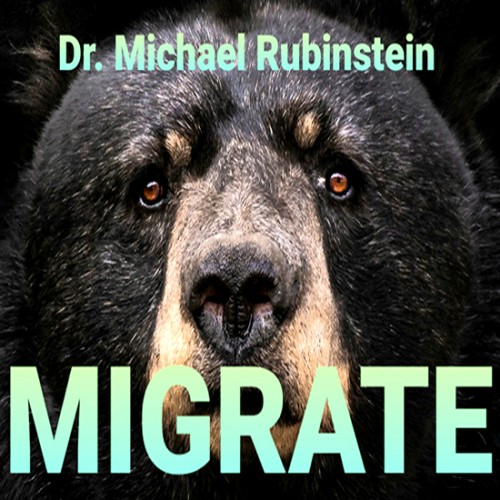 Migrate DLX Coin by Dr. Michael Rubinstein